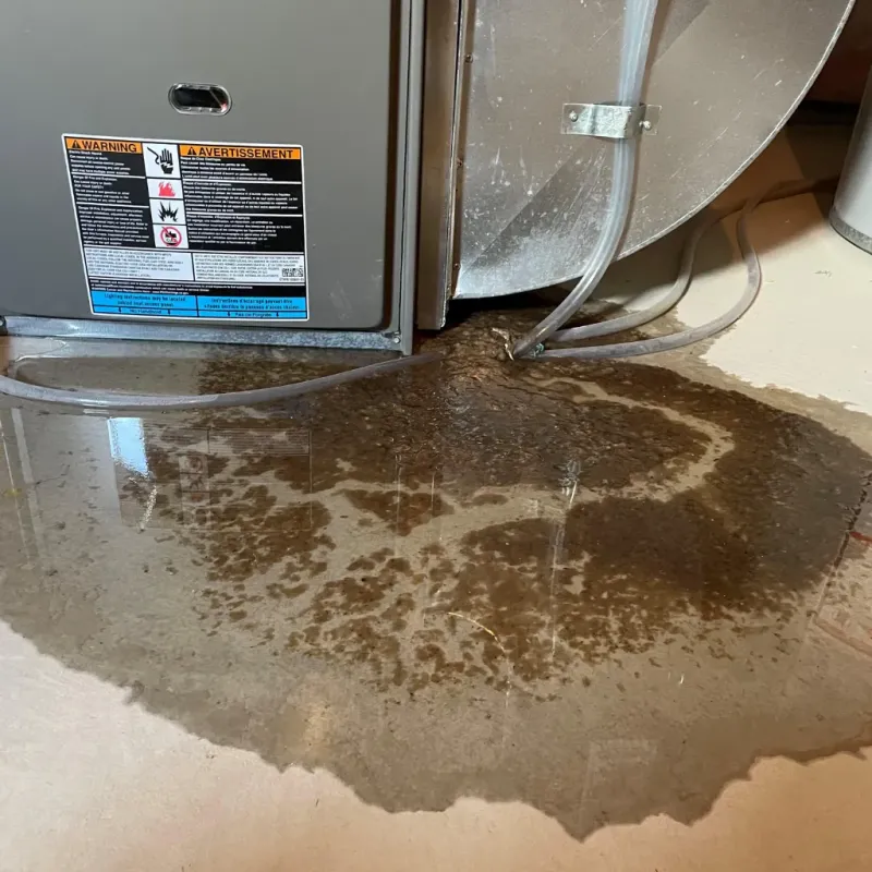 Appliance Leak Cleanup in Carbon Hill, AL